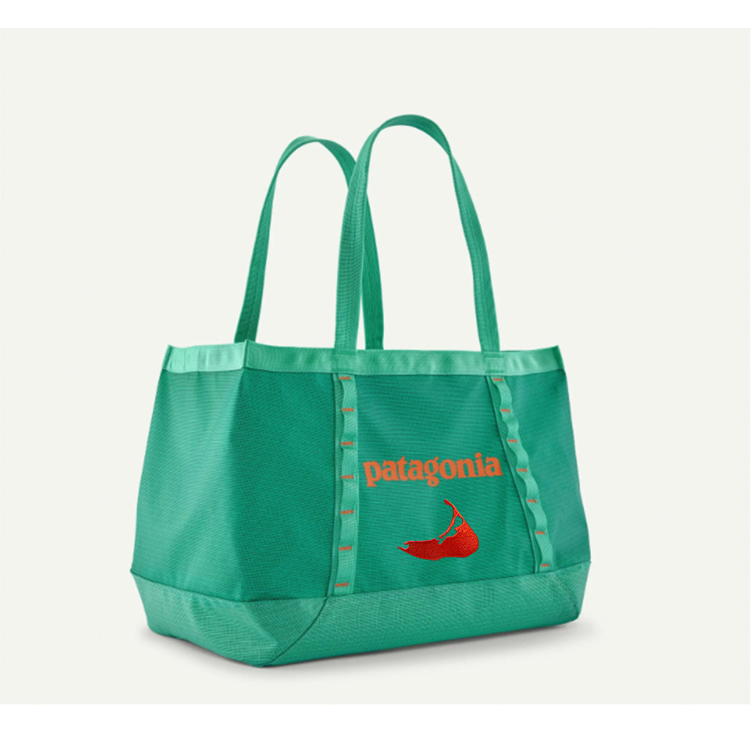 custom patagonia bags Black Hole Duffel Bag 70L padded shoulder strap that can be attached for cross Patagonia | Terravia Mini Waist